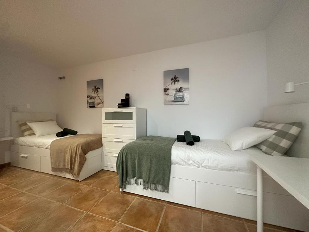 Casa Cullerer Apartment Amposta Luaran gambar